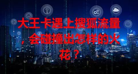 大王卡遇上搜狐流量，会碰撞出怎样的火花？
