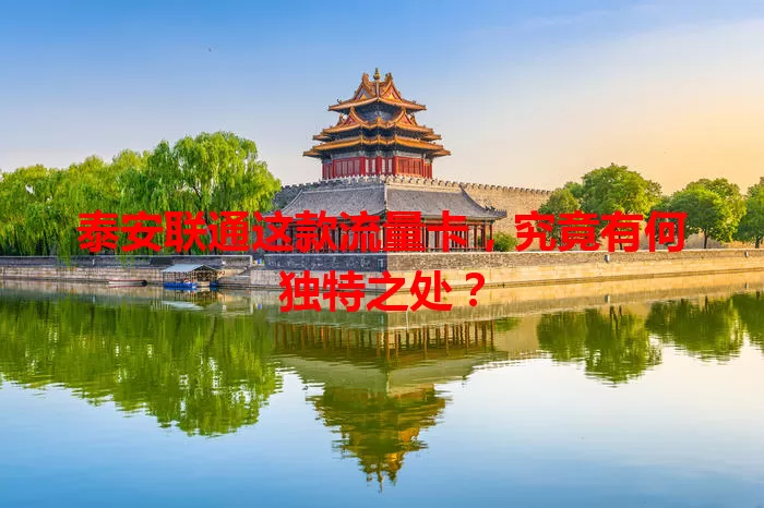 泰安联通这款流量卡，究竟有何独特之处？