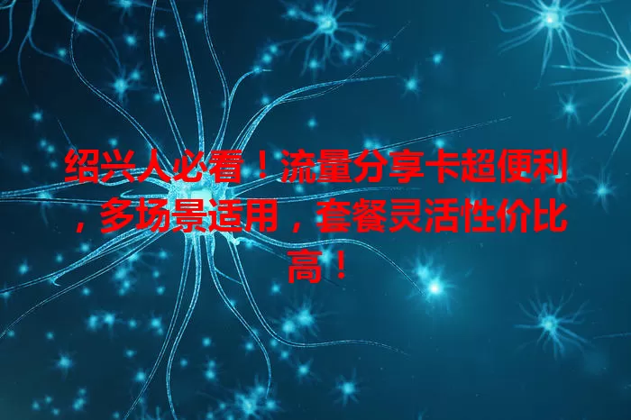 绍兴人必看！流量分享卡超便利，多场景适用，套餐灵活性价比高！