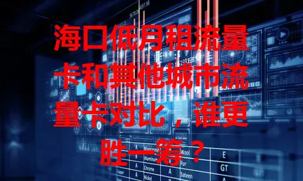 海口低月租流量卡和其他城市流量卡对比，谁更胜一筹？