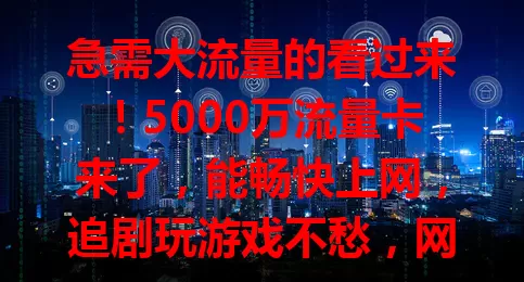 急需大流量的看过来！5000万流量卡来了，能畅快上网，追剧玩游戏不愁，网络稳定不受限，告别流量焦虑就靠它