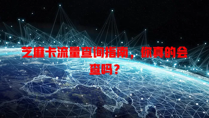 芝麻卡流量查询指南，你真的会查吗？