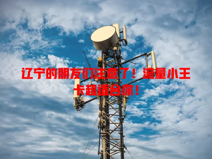 辽宁的朋友们注意了！流量小王卡超适合你！