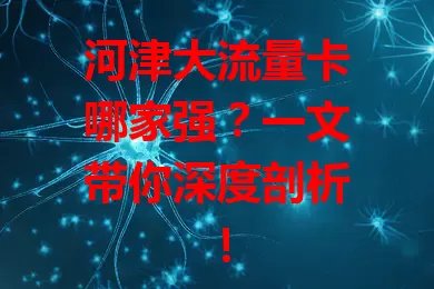 河津大流量卡哪家强？一文带你深度剖析！