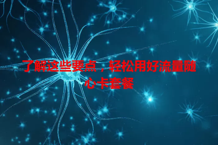 了解这些要点，轻松用好流量随心卡套餐