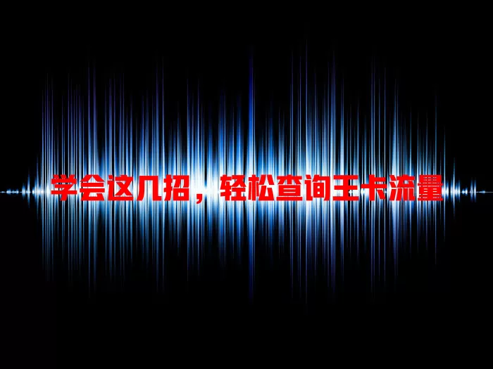 学会这几招，轻松查询王卡流量