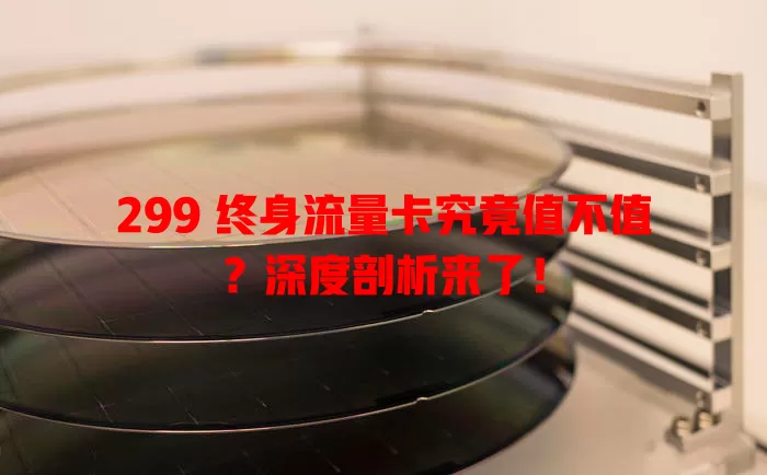 299 终身流量卡究竟值不值？深度剖析来了！