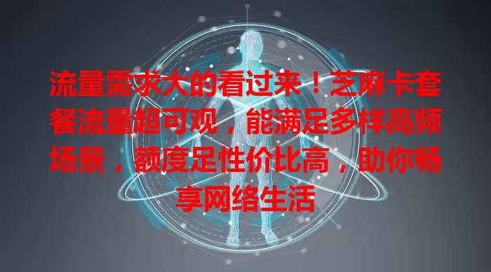 流量需求大的看过来！芝麻卡套餐流量超可观，能满足多样高频场景，额度足性价比高，助你畅享网络生活