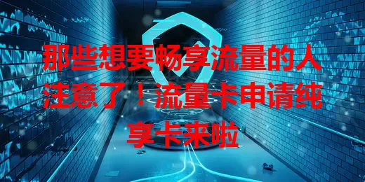 那些想要畅享流量的人注意了！流量卡申请纯享卡来啦