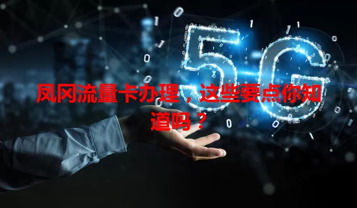 凤冈流量卡办理，这些要点你知道吗？