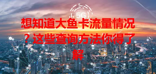想知道大鱼卡流量情况？这些查询方法你得了解