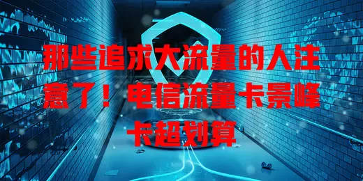 那些追求大流量的人注意了！电信流量卡景峰卡超划算