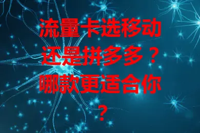 流量卡选移动还是拼多多？哪款更适合你？