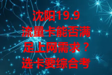 沈阳19.9流量卡能否满足上网需求？选卡要综合考量套餐、网络等多因素