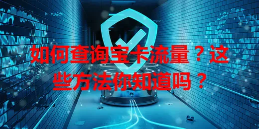 如何查询宝卡流量？这些方法你知道吗？