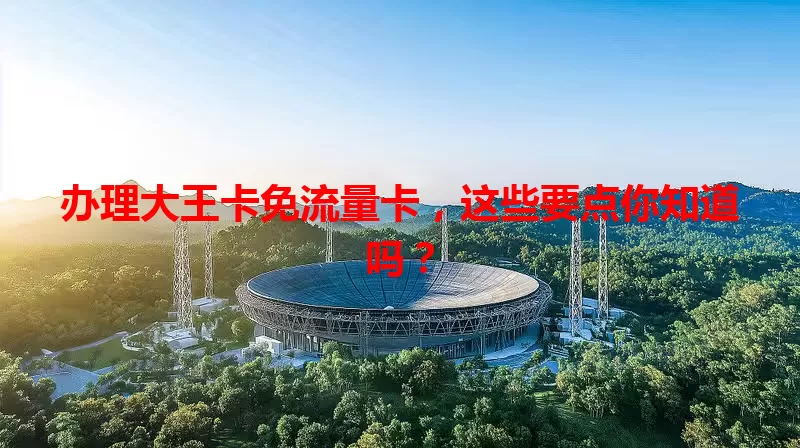 办理大王卡免流量卡，这些要点你知道吗？