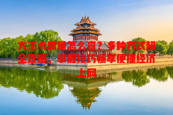 大王卡流量怎么查？多种方式超全攻略，掌握技巧畅享便捷经济上网