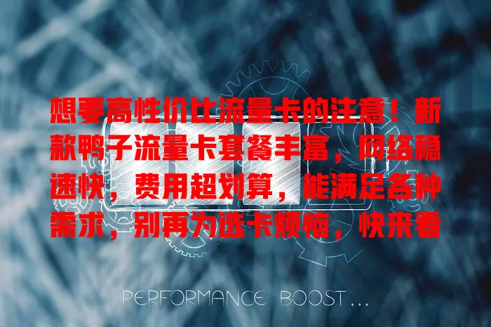 想要高性价比流量卡的注意！新款鸭子流量卡套餐丰富，网络稳速快，费用超划算，能满足各种需求，别再为选卡烦恼，快来看看！