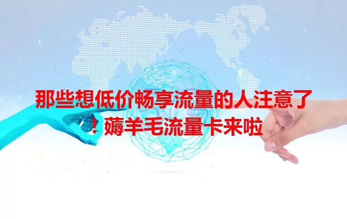 那些想低价畅享流量的人注意了！薅羊毛流量卡来啦