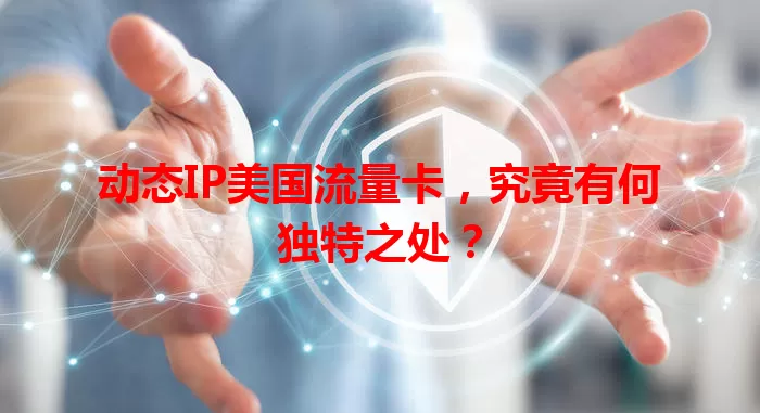 动态IP美国流量卡，究竟有何独特之处？