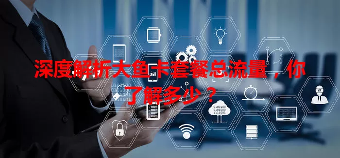 深度解析大鱼卡套餐总流量，你了解多少？