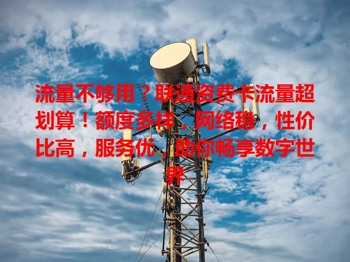流量不够用？联通资费卡流量超划算！额度多样，网络稳，性价比高，服务优，助你畅享数字世界