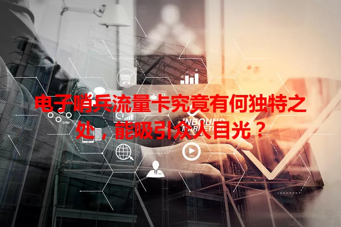 电子哨兵流量卡究竟有何独特之处，能吸引众人目光？