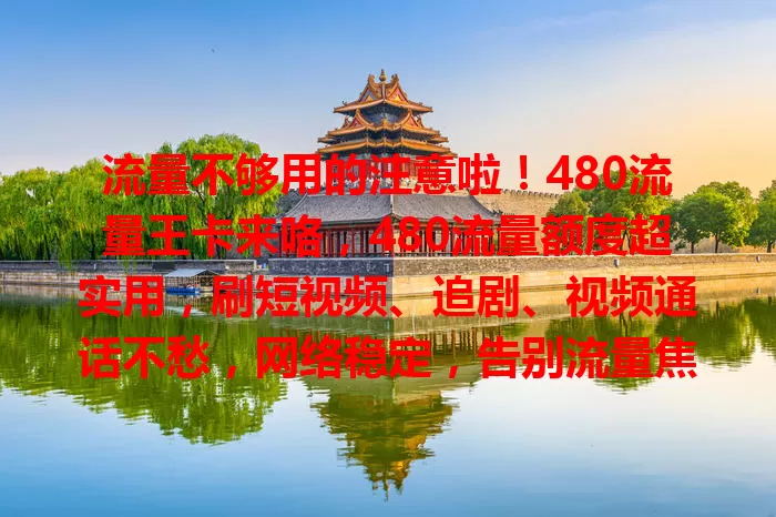 流量不够用的注意啦！480流量王卡来咯，480流量额度超实用，刷短视频、追剧、视频通话不愁，网络稳定，告别流量焦虑，赶紧来体验！