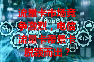 流量卡市场竞争激烈，电信流量卡帝景卡脱颖而出？