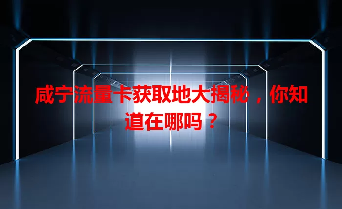 咸宁流量卡获取地大揭秘，你知道在哪吗？