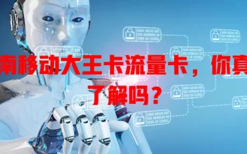 海南移动大王卡流量卡，你真的了解吗？