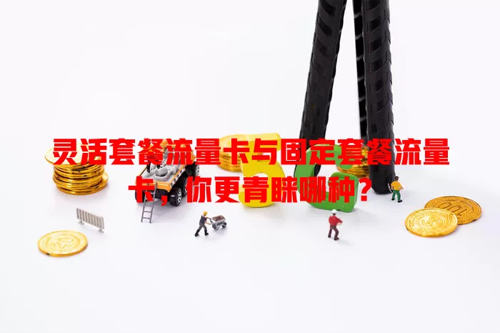 灵活套餐流量卡与固定套餐流量卡，你更青睐哪种？