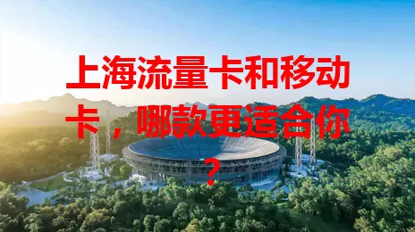 上海流量卡和移动卡，哪款更适合你？