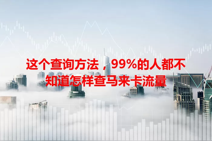 这个查询方法，99%的人都不知道怎样查马来卡流量