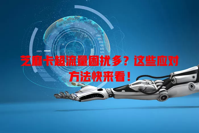 芝麻卡超流量困扰多？这些应对方法快来看！