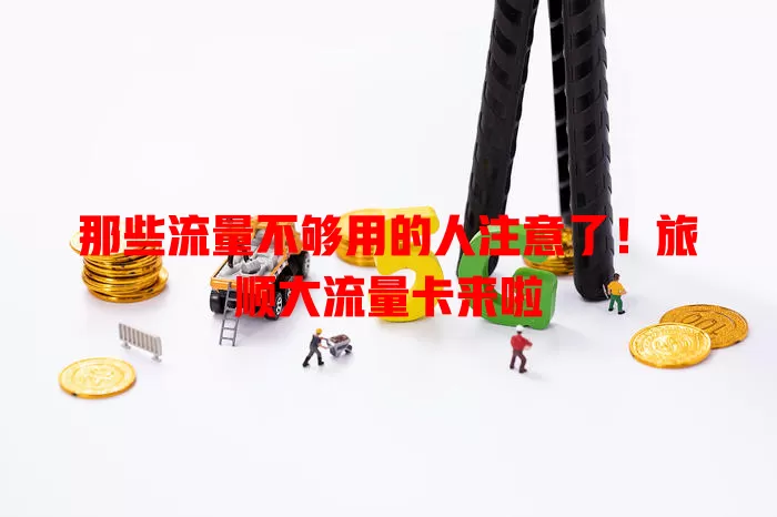 那些流量不够用的人注意了！旅顺大流量卡来啦