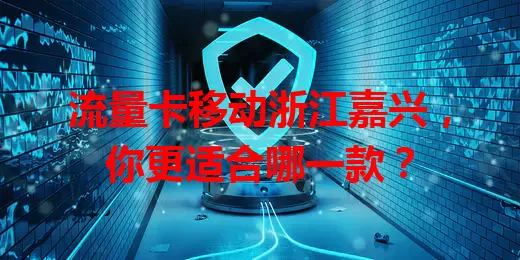 流量卡移动浙江嘉兴，你更适合哪一款？