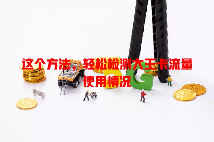 这个方法，轻松检测大王卡流量使用情况