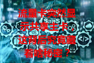 流量卡突然显示共享主卡，这背后究竟藏着啥秘密？