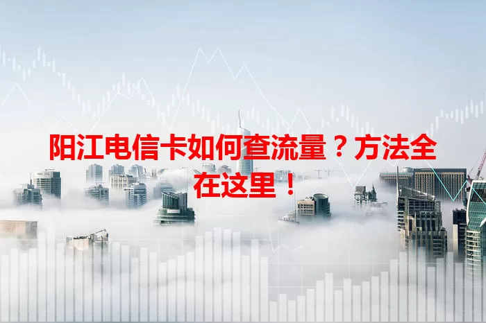 阳江电信卡如何查流量？方法全在这里！