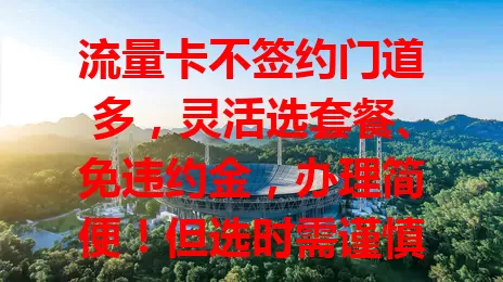 流量卡不签约门道多，灵活选套餐、免违约金，办理简便！但选时需谨慎，了解各项情况，多做功课享便捷实惠，让网络生活更畅快