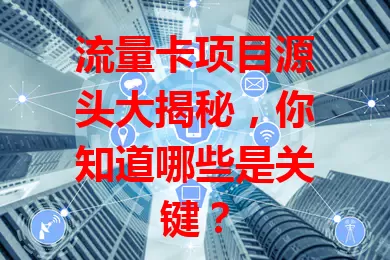 流量卡项目源头大揭秘，你知道哪些是关键？