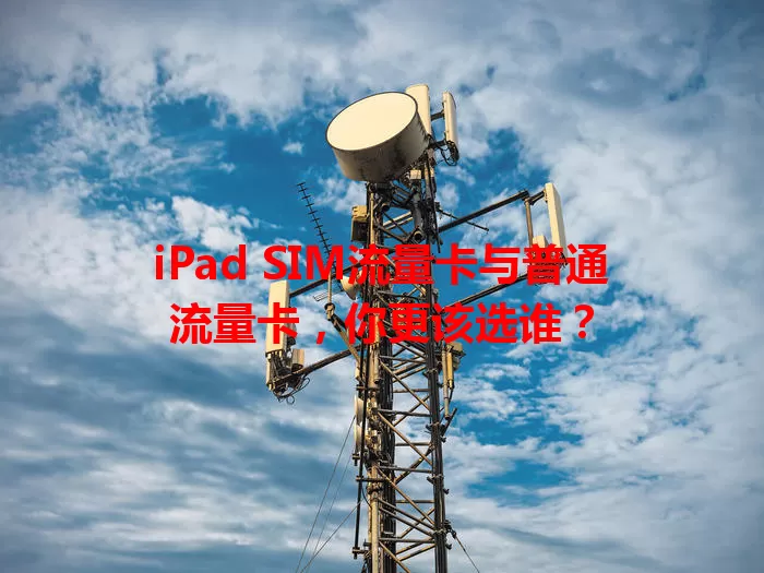 iPad SIM流量卡与普通流量卡，你更该选谁？