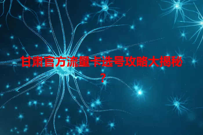 甘肃官方流量卡选号攻略大揭秘？