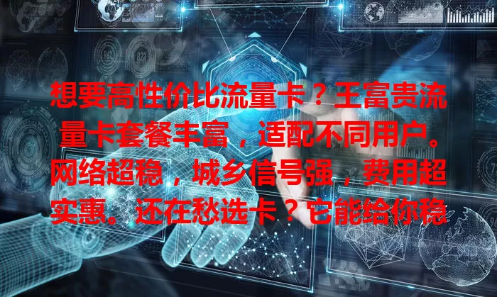 想要高性价比流量卡？王富贵流量卡套餐丰富，适配不同用户。网络超稳，城乡信号强，费用超实惠。还在愁选卡？它能给你稳定实惠流量服务，告别流量烦恼！