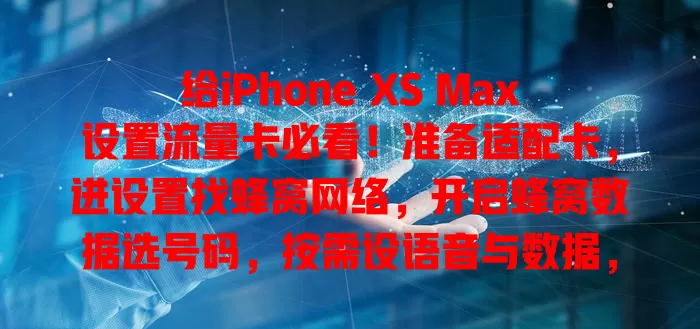 给iPhone XS Max设置流量卡必看！准备适配卡，进设置找蜂窝网络，开启蜂窝数据选号码，按需设语音与数据，看信号标识确认成功，按步骤畅享便捷上网