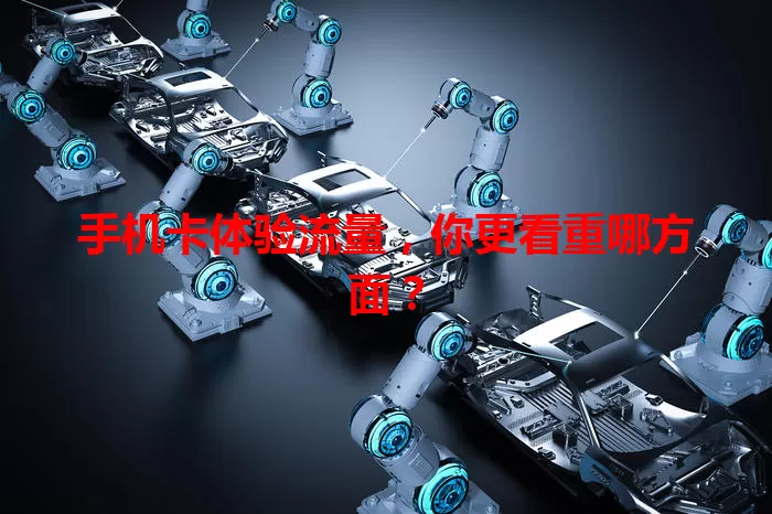 手机卡体验流量，你更看重哪方面？