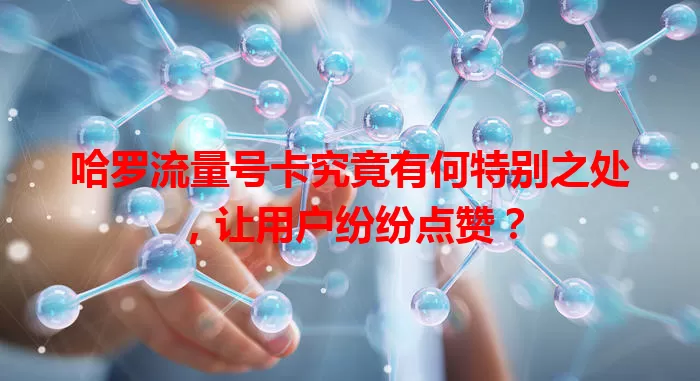 哈罗流量号卡究竟有何特别之处，让用户纷纷点赞？