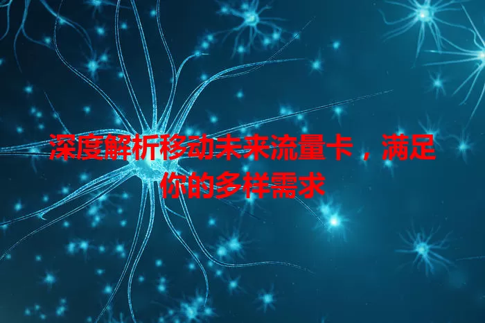 深度解析移动未来流量卡，满足你的多样需求
