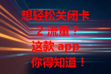 想轻松关闭卡 2 流量？这款 app 你得知道！它能让你精准掌控流量，避免浪费，节省费用，延长手机续航，还能防止超支，安卓苹果大多兼容，操作简单，赶紧试试！
